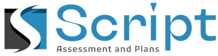 Script Assessment and Plans logo